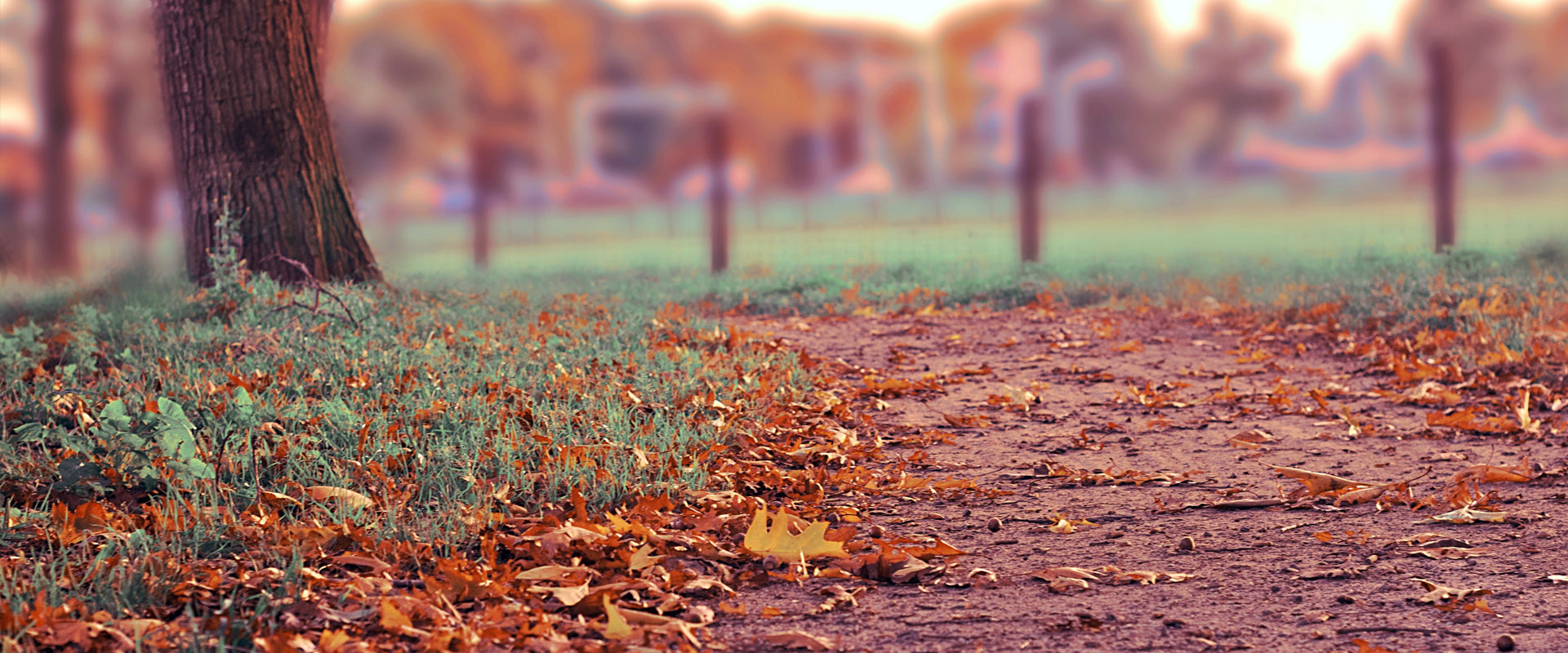网络短信在线发送