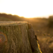 短信验证码轰炸